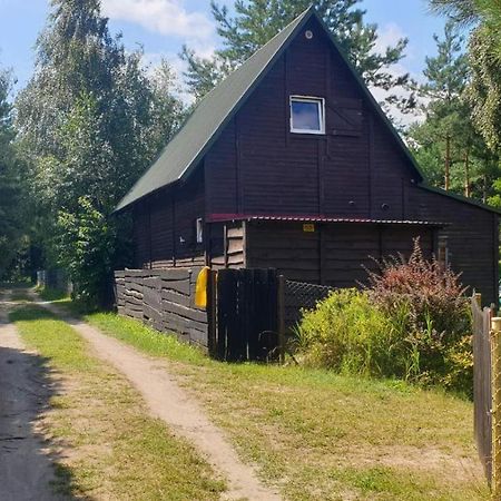 Domki Nad Jeziorem, Las, Do 10 Osob Jezioro Wilczynskie Budzislawskie - Domek Letniskowy Osobno Ogrodzony, Ogrzewany Mile Widziane Pieski, Zwierzeta- Wielkopolska, 62-550 Zygmuntowo Gm Wilczyn Экстерьер фото