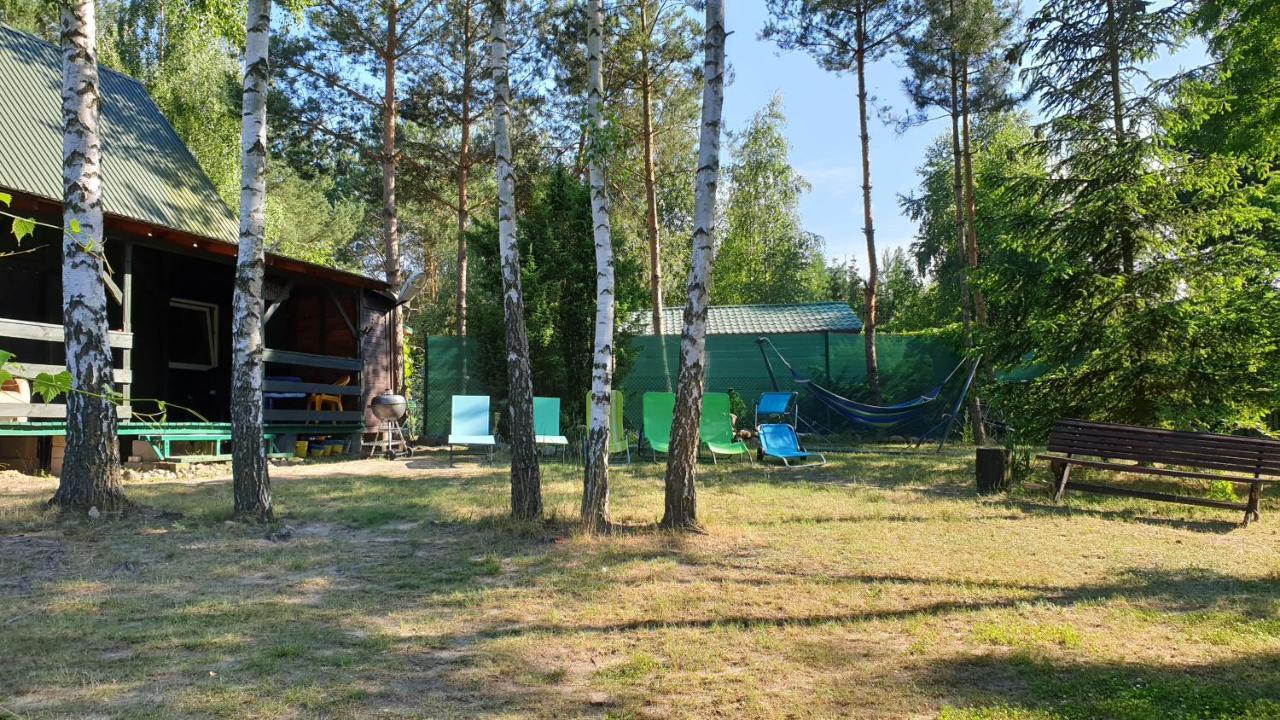 Domki Nad Jeziorem, Las, Do 10 Osob Jezioro Wilczynskie Budzislawskie - Domek Letniskowy Osobno Ogrodzony, Ogrzewany Mile Widziane Pieski, Zwierzeta- Wielkopolska, 62-550 Zygmuntowo Gm Wilczyn Экстерьер фото