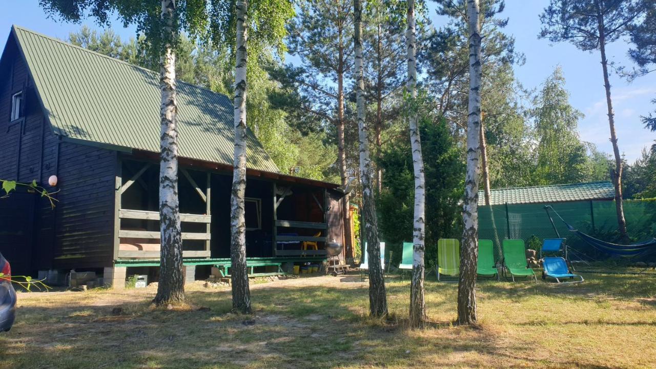 Domki Nad Jeziorem, Las, Do 10 Osob Jezioro Wilczynskie Budzislawskie - Domek Letniskowy Osobno Ogrodzony, Ogrzewany Mile Widziane Pieski, Zwierzeta- Wielkopolska, 62-550 Zygmuntowo Gm Wilczyn Экстерьер фото