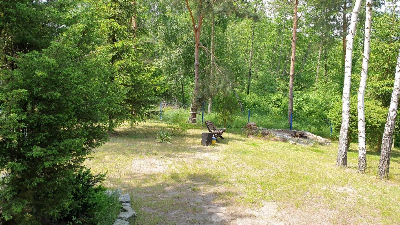 Domki Nad Jeziorem, Las, Do 10 Osob Jezioro Wilczynskie Budzislawskie - Domek Letniskowy Osobno Ogrodzony, Ogrzewany Mile Widziane Pieski, Zwierzeta- Wielkopolska, 62-550 Zygmuntowo Gm Wilczyn Экстерьер фото