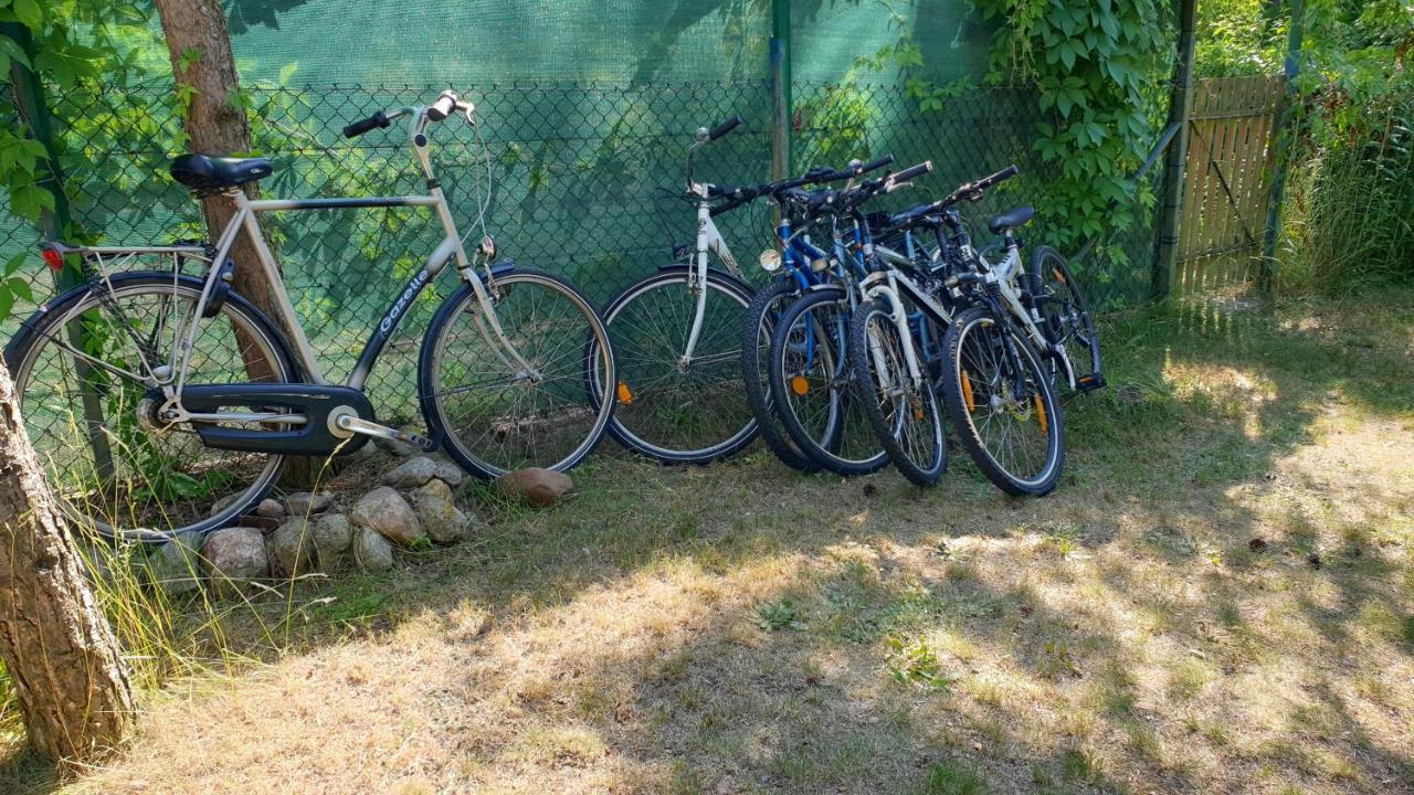 Domki Nad Jeziorem, Las, Do 10 Osob Jezioro Wilczynskie Budzislawskie - Domek Letniskowy Osobno Ogrodzony, Ogrzewany Mile Widziane Pieski, Zwierzeta- Wielkopolska, 62-550 Zygmuntowo Gm Wilczyn Экстерьер фото