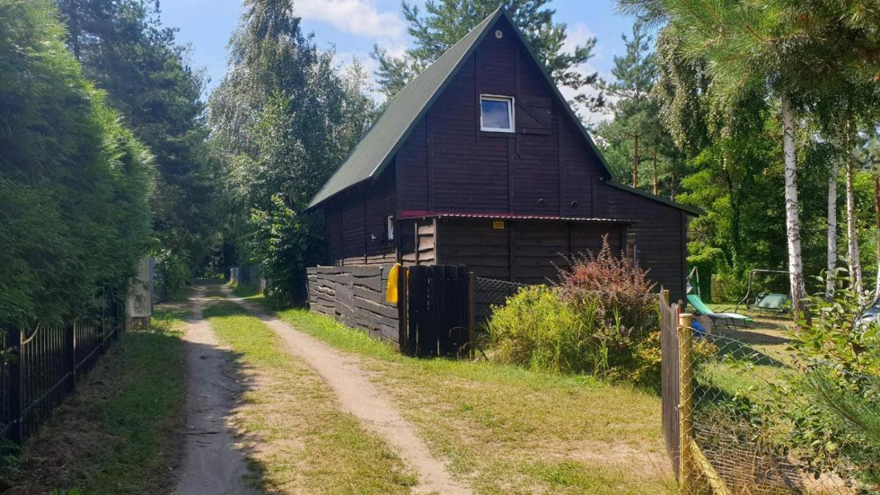 Domki Nad Jeziorem, Las, Do 10 Osob Jezioro Wilczynskie Budzislawskie - Domek Letniskowy Osobno Ogrodzony, Ogrzewany Mile Widziane Pieski, Zwierzeta- Wielkopolska, 62-550 Zygmuntowo Gm Wilczyn Экстерьер фото